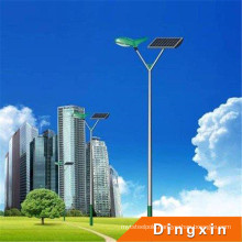 Professional Customized DC12V 6m 30W Solar Street Lighting